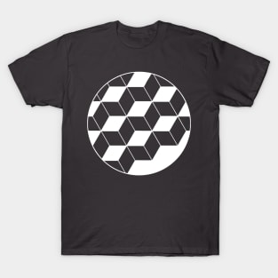 circle_of cubes in white T-Shirt